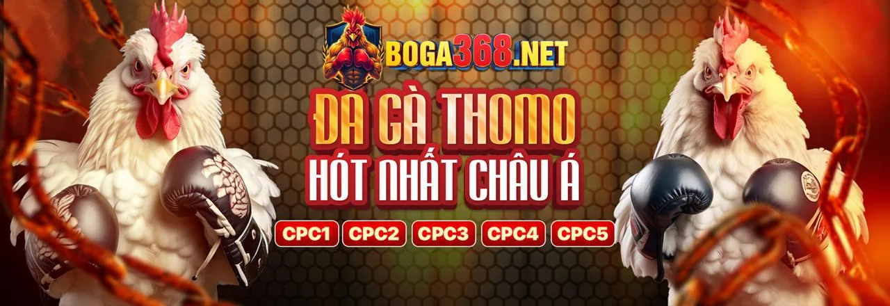 Chương trình Đại lý U8888