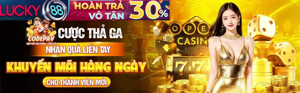 Hỗ trợ trực tuyến 24/7